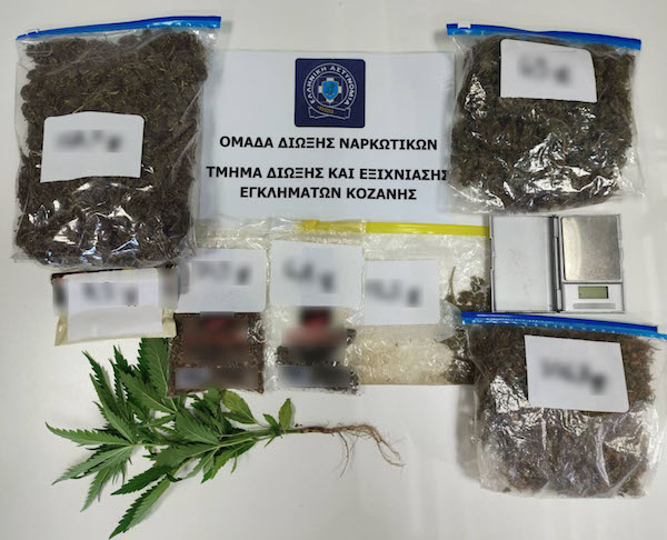 Συνελήφθη 51χρονος για διακίνηση ναρκωτικών και καλλιέργεια δενδρυλλίου κάνναβης, σε περιοχή της Κοζάνης