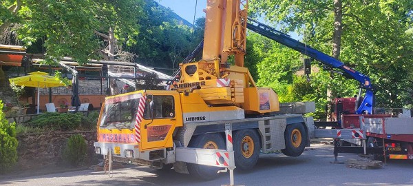 Βελβεντό: Κοπή μολυσμένων και επικίνδυνων δέντρων από το έλκος πλατάνου