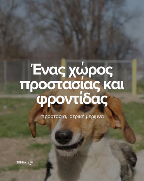 Σταθερά βήματα για την προστασία των ζώων συντροφιάς στο Δήμο Σερβίων