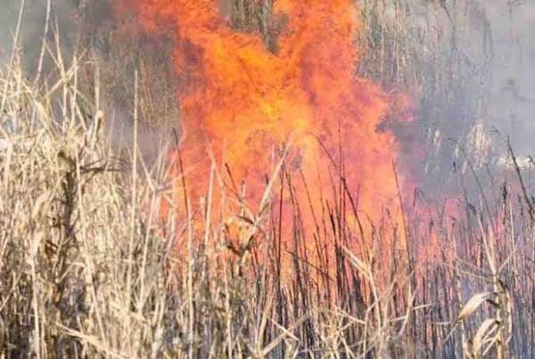 Πρόστιμα για καύση χόρτων σε υπαίθριους χώρους