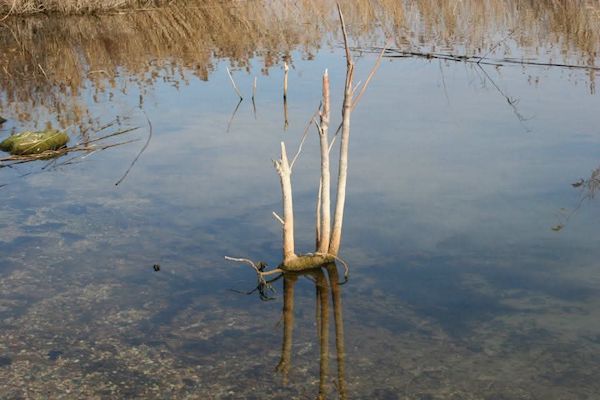 Σύλλογος Προστασίας Βεγορίτιδας: «Κάτω τα χέρια από τη λίμνη»