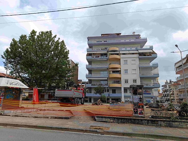 Οικολογική Κίνηση Κοζάνης: Κομμένα δέντρα ξανά και ξανά