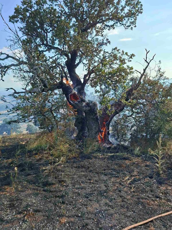 Άργος Ορεστικό: Υπό πλήρη έλεγχο η πυρκαγιά στον Άγιο Αθανάσιο Βογατσικού