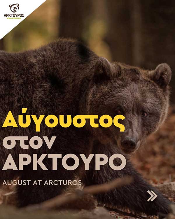 Αρκούδες, λύκοι και λύγκες σας περιμένουν στο Διεθνές Περιβαλλοντικό Κέντρο Αρκτούρου