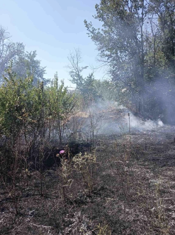 Φωτιά σε χορτολιβαδική έκταση στα Κοίλα Κοζάνης