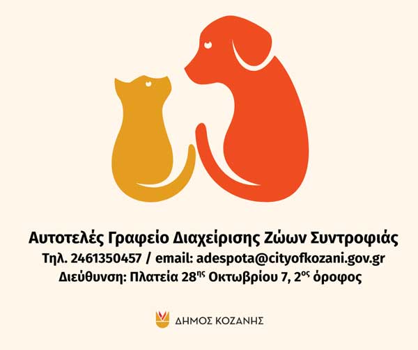 Δήμος Κοζάνης: 11 γάτες προς υιοθεσία από το Αυτοτελές Γραφείο Διαχείρισης Ζώων Συντροφιάς