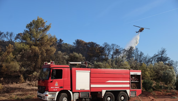 Γρεβενά: Συνελήφθη 88χρονος για πυρκαγιά από αμέλεια στη Δεσκάτη – Του επιβλήθηκε πρόστιμο