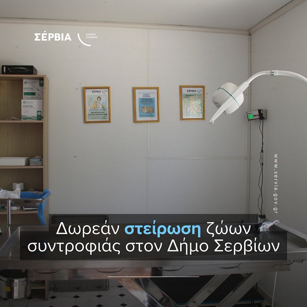 Δωρεάν στείρωση ζώων συντροφιάς στον Δήμο Σερβίων