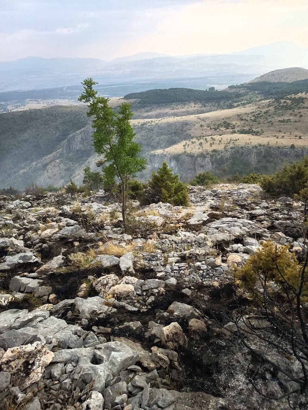 Κοζάνη: Οριοθετήθηκε η φωτιά στην Ερμακιά – Σβήστηκαν άλλες δύο