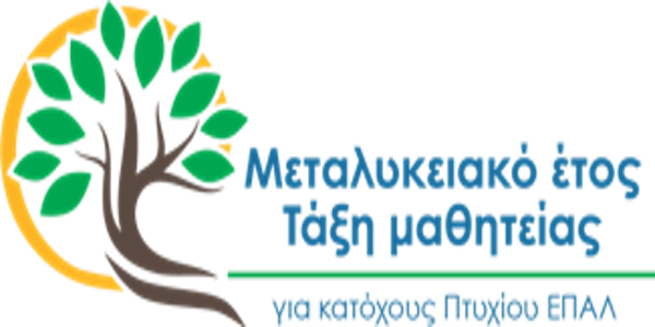 Διάθεση θέσεων Μαθητείας από επιχειρήσεις ιδιωτικού τομέα για το Μεταλυκειακό Έτος – Τάξη Μαθητείας των ΕΠΑ.Λ. περιόδου 2026-2027 (ΙΑ΄ Φάση)