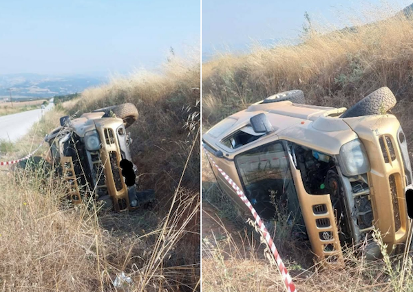 Τροχαίο με αγριογούρουνα στο δρόμο μεταξύ Παλιουριάς και Δεσκάτης