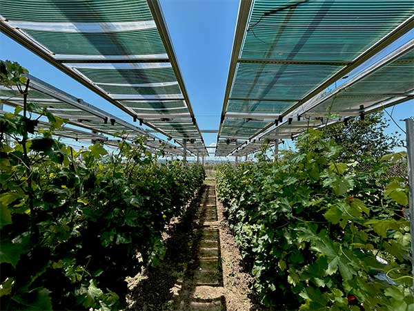 Kozani expo 2026-International Nanotech HUB