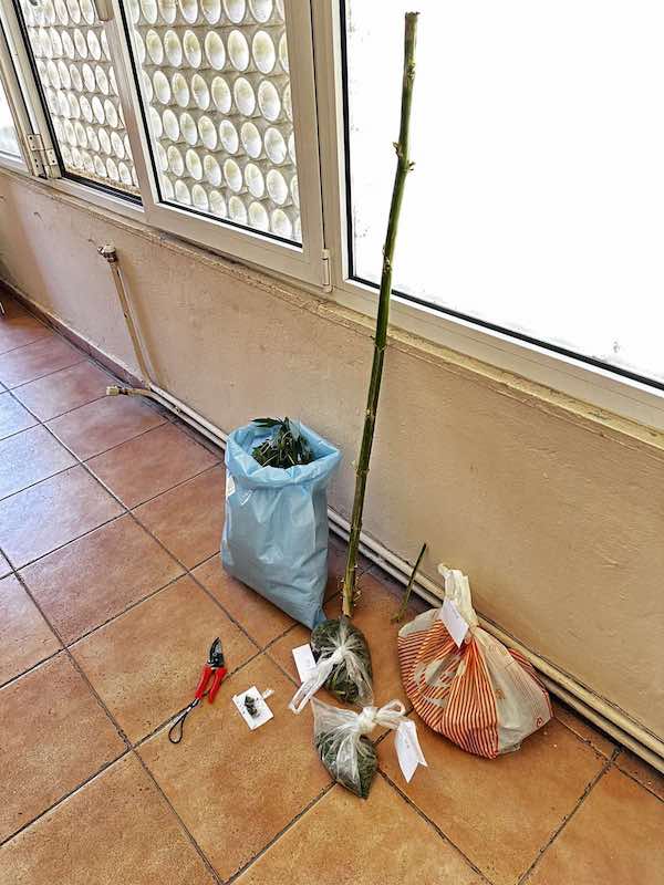 Συνελήφθησαν από αστυνομικούς της Ο.Π.Κ.Ε. Φλώρινας 3 άτομα, για κατοχή ναρκωτικών,  σε περιοχή της Φλώρινας