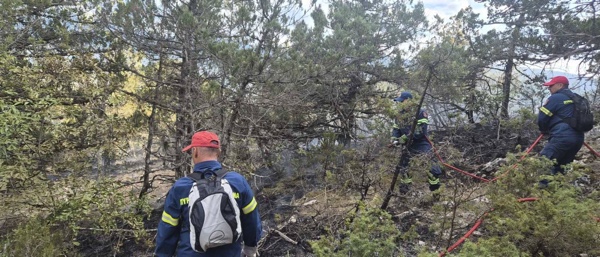 Φωτιά στο όρος Ντέβας στις Πρέσπες – Άμεση κινητοποίηση της Πυροσβεστικής