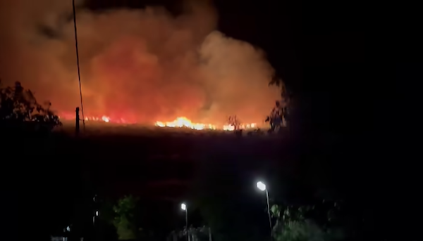 Δήμος Πρεσπών: Πυρκαγιά σε δασική περιοχή δίπλα στην κοινότητα Κρυσταλλοπηγής