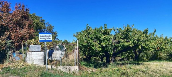 Αμυγδαλιές Γρεβενών: Ένα χωριό με ζωή αλλά χωρίς νέες γεννήσεις