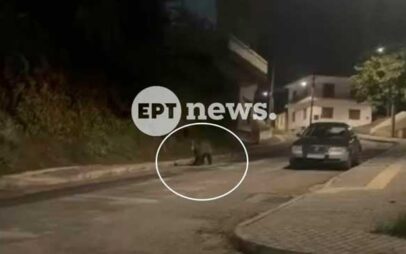 Αρκούδα κάνει βόλτες στο κέντρο του Άργους Ορεστικού
