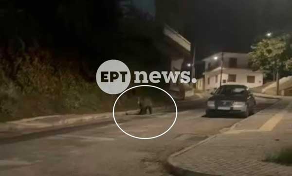 Αρκούδα κάνει βόλτες στο κέντρο του Άργους Ορεστικού