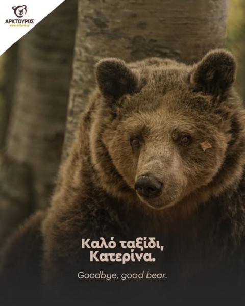Αρκτούρος: Καλό ταξίδι Κατερίνα