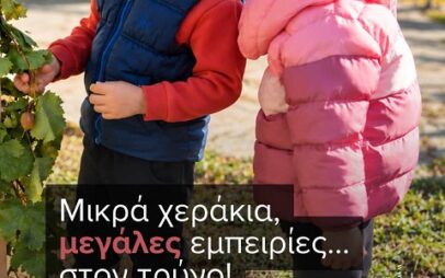 Μικρά χεράκια, μεγάλες εμπειρίες… στον τρύγο!