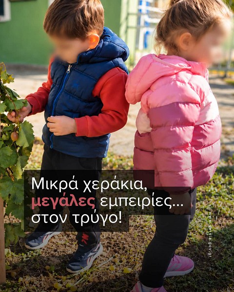 Μικρά χεράκια, μεγάλες εμπειρίες… στον τρύγο!
